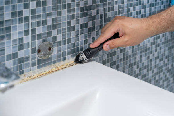 Best Professional Mold Removal  in South Browning, MT