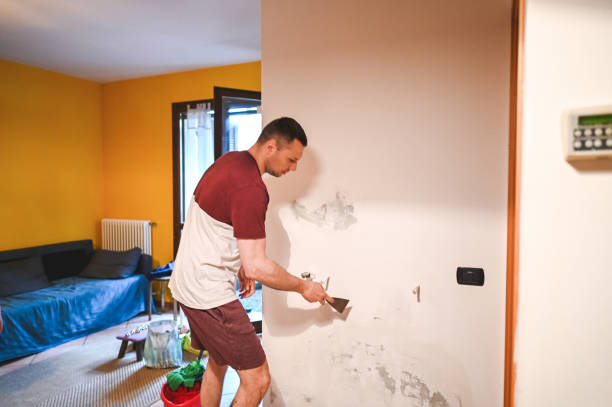 Best Water Damage Restoration  in South Browning, MT